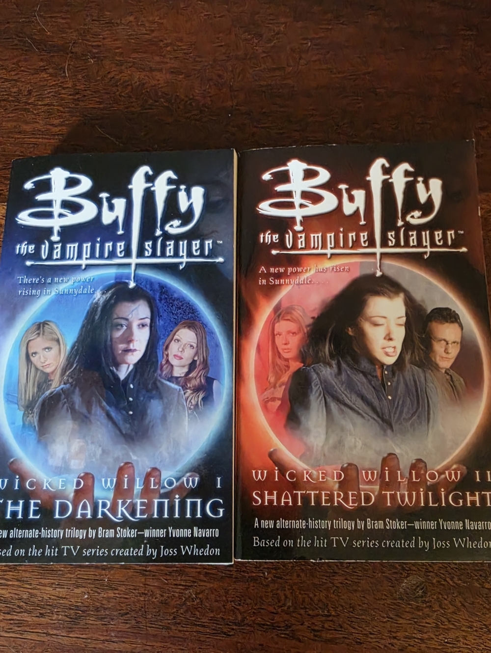 Lot 2 Buffy The Vampire Slayer Wicked Willow I&II Navarro PB Darkening Shattered